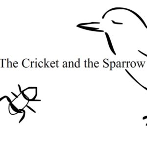 The Cricket & The Sparrow Animated E-book
