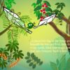 The Cricket & The Sparrow Animated E-book - Image 3